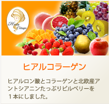 ヒアルコラーゲン