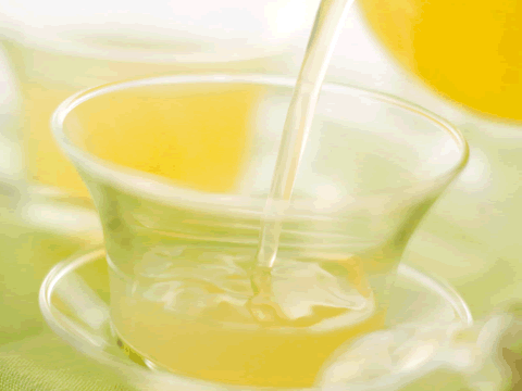 カフェコラーゲン